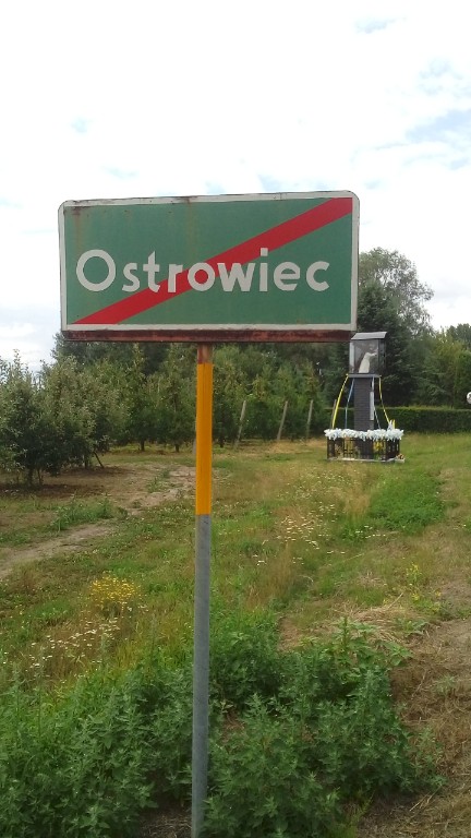 Znak łowicki Ostrowiec (od 2004 r.)